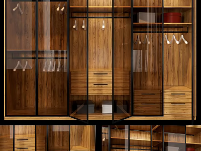 Modern Wooden Wardrobe Design With Glass Doors Clothes Hangers And Drawers 3d model
