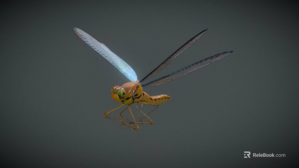 Colorful Dragonfly With Blue Wings And Yellow Brown Body Flying On Dark Background 3d model 