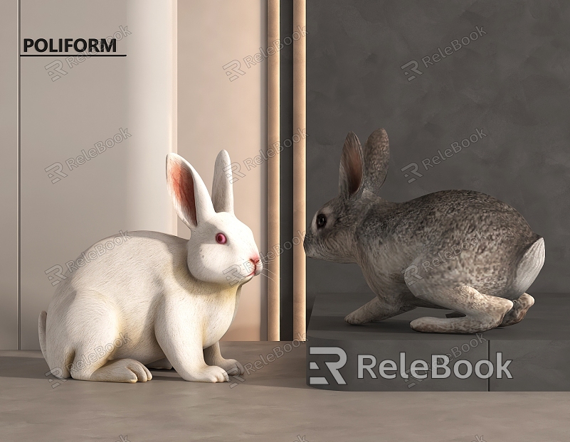 Rabbit model