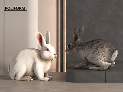 Rabbit model