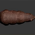 Red Bear Model Standing With Open Mouth And Detailed Fur Texture 3d model