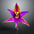 Purple Pink Orchid with Yellow Orange Edged Petals and Black Spotted Center in Dark Background