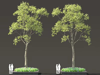 Tall Deciduous Trees with Lush Green Foliage and Dense Underplanting Near Human Silhouettes 3d model