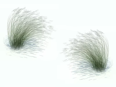 Natural Looking Ornamental Grass With Green Slender Leaves And Light Colored Spikes On White Background 3d model