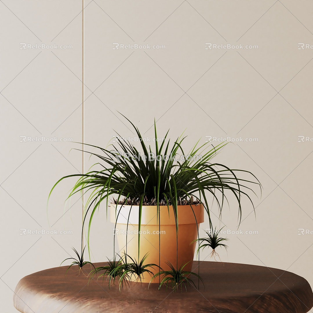 Modern Potted Plant 3d model