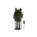 Forest Themed Ornament Decoration Set With Mushrooms Pine Needles Moss And Pine Cones