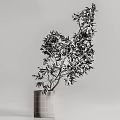 Elegant Decorative Ornament Set With White Vase And Lush Green Leafy Plant