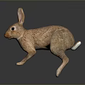 Realistic Brown Rabbit Sculpture With Lifelike Features And Detailed Fur