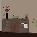 Wooden Cabinet With Black Vase Dried Flowers Vintage Radio And Green Plant