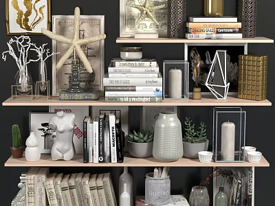Stylish Decorative Ornament Arrangement with Starfish Books Geometric Vases Succulents and Gold Accents on Shelves 3d model