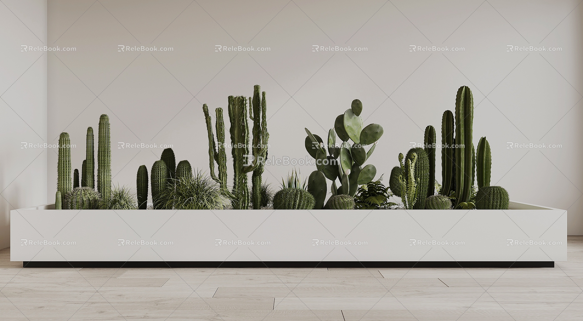 Modern Cactus 3d model