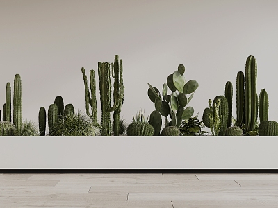 Modern Cactus 3d model