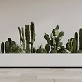 Modern Cactus 3d model