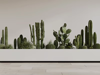 Various Cactus Potted Plants Arranged On White Shelf With Light Wall Background 3d model