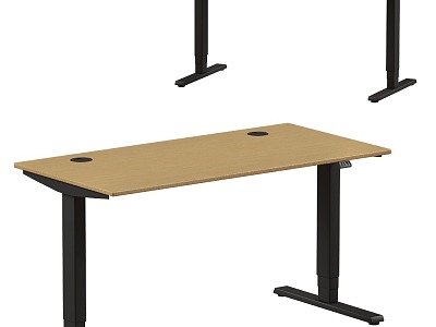 Brunner Desk model