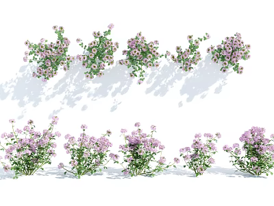 Beautiful Purple Flowering Green Leaf Shrubs Arranged In Garden Landscape Design 3d model