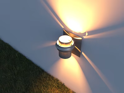 Outdoor Wall Mounted Light With Warm Yellow Glow Illuminating Grass Area 3d model