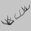 Natural Brown Deer Antlers As Decorative Wall Art For Rustic Homes