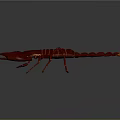 Realistic Detailed Vibrant Red Scorpion With Large Pincers Segmented Body And Curved Tail