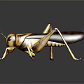 Yellow and Brown Striped Grasshopper With Long Legs And Shiny Surface Reflection 3d model