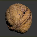 Modern Walnut Cotton Walnut Hemp Walnut Iron Walnut Melon Seeds Keppel Walnut 3d model