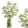 Fresh Green Foliage Decorative Arrangement in Glass Vase for Home Interior Decor