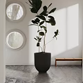 Modern Potted Plant With Dark Planter In Bright Room White Wall Round Window And Bench