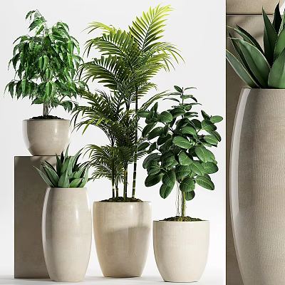 Indoor Green Potted Plants With Palm Succulent And Ceramic Beige Pots 3d model