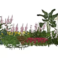Garden Plant Combination With Mixed Flowers Ferns And Lush Green Foliage