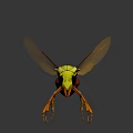 Vibrant Yellow and Red Wasp with Transparent Wings Standing on Dark Background