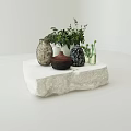 Ceramic Vessels With Various Colors Textures On White Stone Platform Featuring Green Plants Glass Bottles