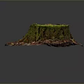 Arbor Stump Covered With Green Moss And Surrounded By Fallen Leaves Twigs On Dark Background