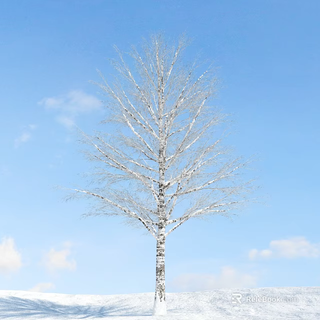 Tall White Bark Tree With Leafless Branches Against Blue Sky And Clouds 3d model 