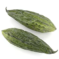 Fresh Green Bitter Melon Vegetables With Bumpy Texture On White Background