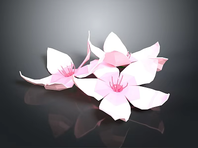 Several Pink Paper Flowers with Delicate Petals on Black Background and Shiny Reflections 3d model