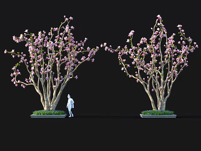Two Tall Pink Flowering Trees With Green Grass And White Figure On Black Background 3d model