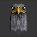 Detailed Gray Feathered Eagle Head 3D Render With Yellow Beak Green Eyes And Gradient Background 3d model