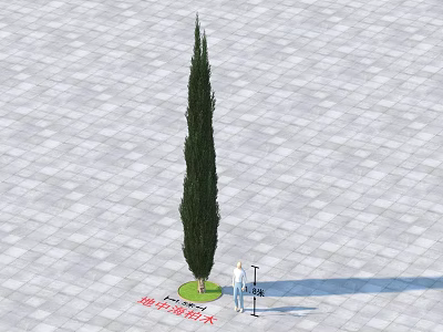 Tall Arbor With Green Foliage Standing On Paved Ground And Person Measuring Height 3d model