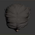 Man with Long Hair and Beard 3D Head Model on Gray Background