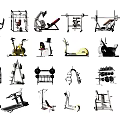 Essential Sports Equipment Collection Including Treadmills Dumbbells Exercise Bikes And Weight Benches