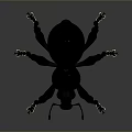 Black Metallic Beetle Sculpture With Detailed Legs Antenna And Reflective Surface