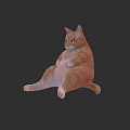 Cute Orange Tabby Cat Sitting Relaxed On Dark Background With Playful Posture