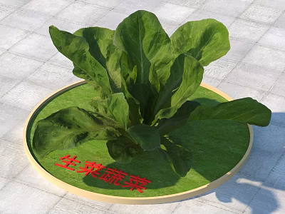 Home Garden Decor with Fresh Green Lettuce in Circular Planter 3d model