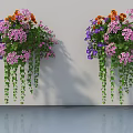 Hanging Potted Plants With Colorful Purple Pink Orange Flowers And Trailing Green Vines