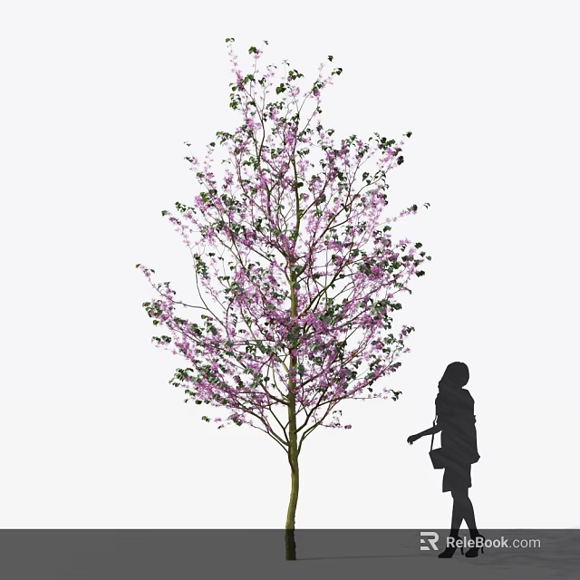 Tall Tree with Blooming Pink Flowers and Silhouette of a Woman Carrying a Bag 3d model 