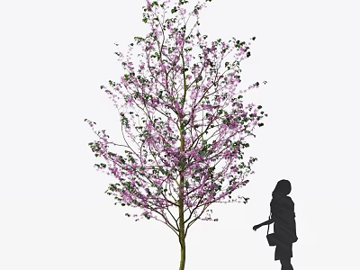 Tall Tree with Blooming Pink Flowers and Silhouette of a Woman Carrying a Bag 3d model