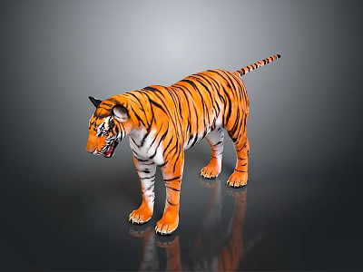 Orange Black Striped Tiger Standing with Open Mouth on Dark Gray Background with Reflection 3d model