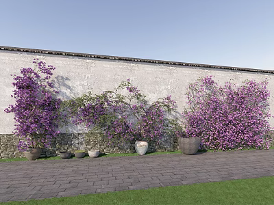 Modern Vine Country Garden Plant Vine Plant Bougainvillea Potted Climbing Vine Plant 3d model
