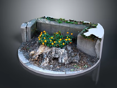Yellow Flowers Growing in Circular Stone Planter with Soil and Broken Stones 3d model