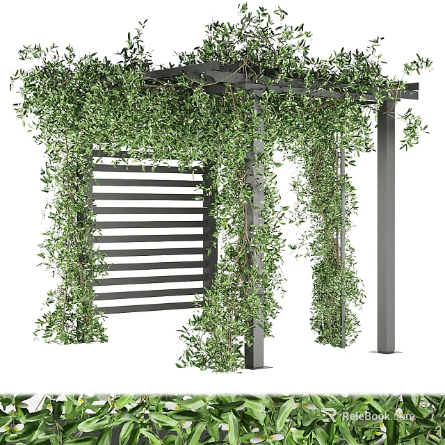 Lush Green Vines Covering Wooden Pergola With Lattice Backdrop In Garden 3d model 